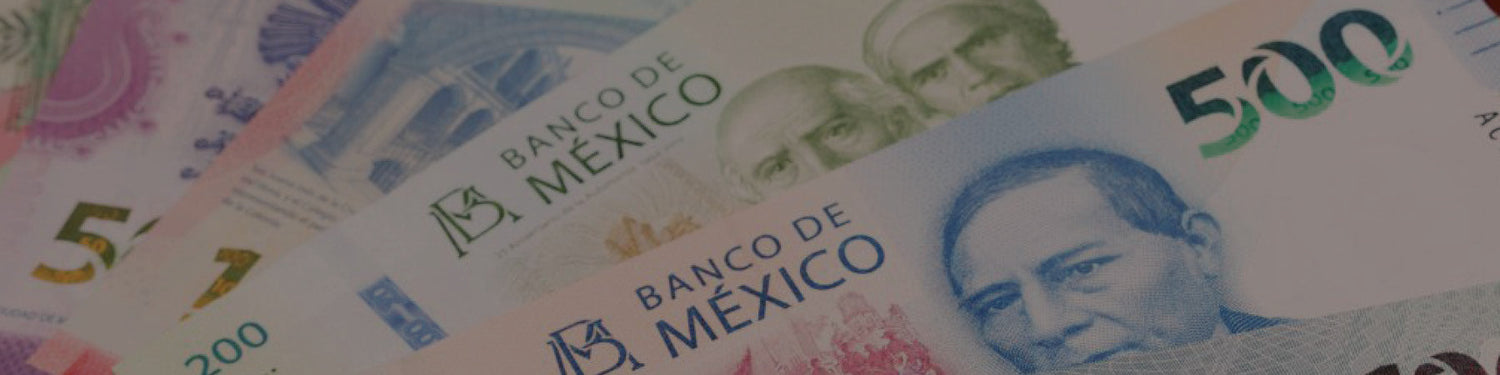 Shop by Currency: MXN